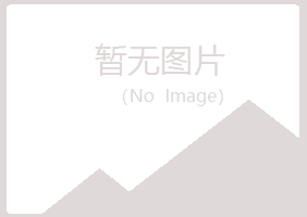 龙川县字迹服务有限公司